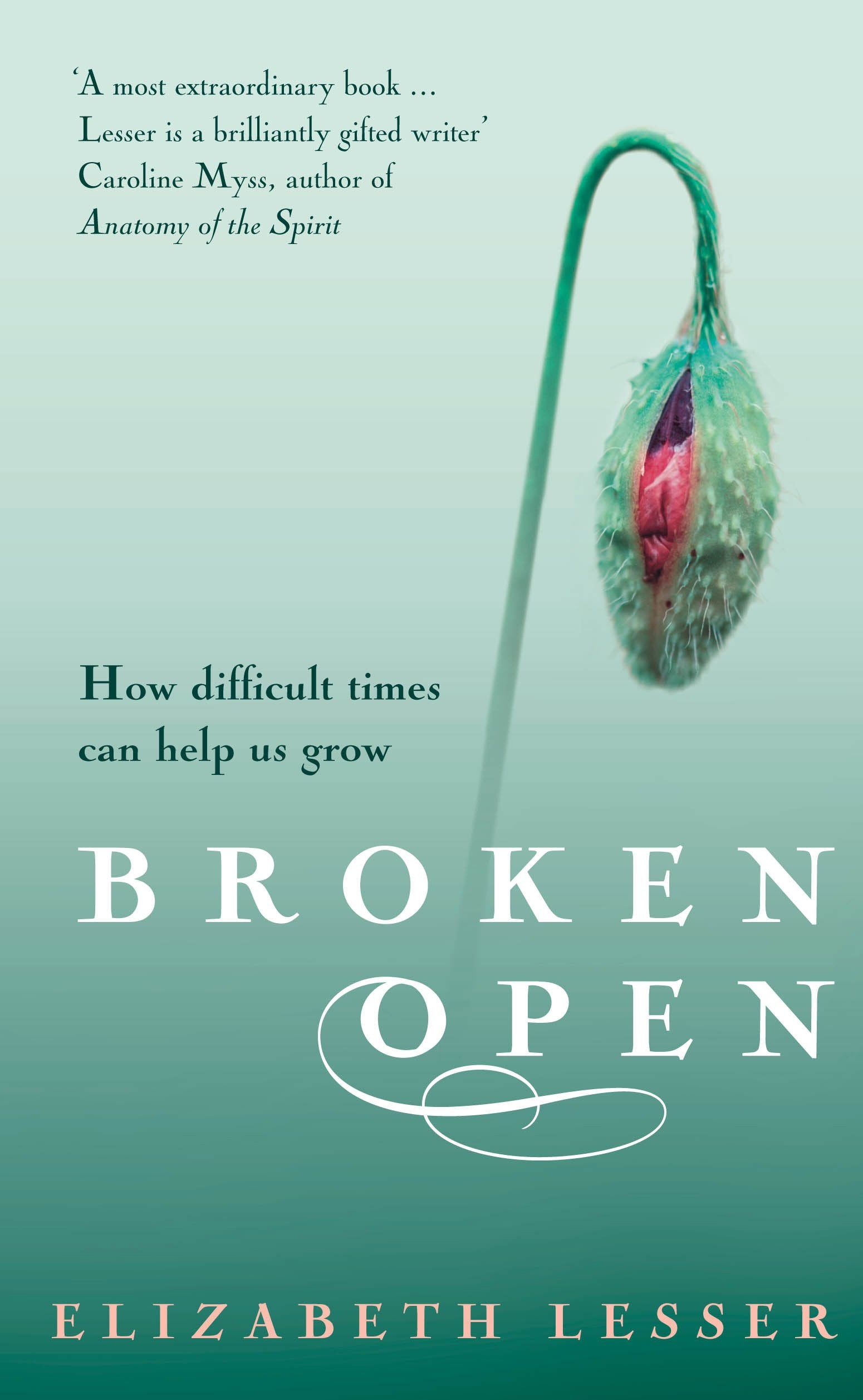 Broken Open: How difficult times can help us grow Business, Finance & Career