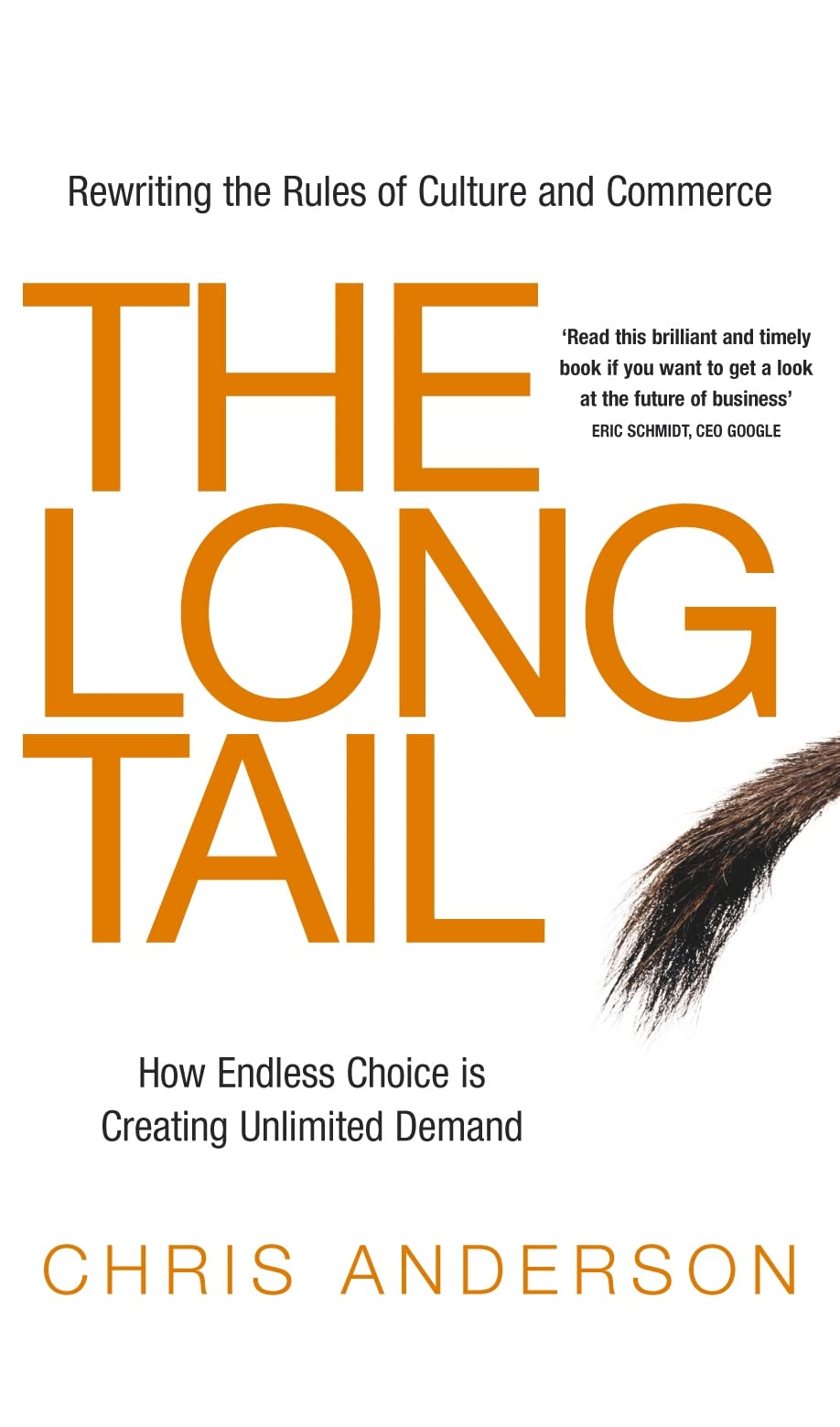 Product Image: The Long Tail