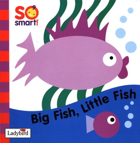 So Smart: Big Fish, Little Fish Flap Book Non-fiction