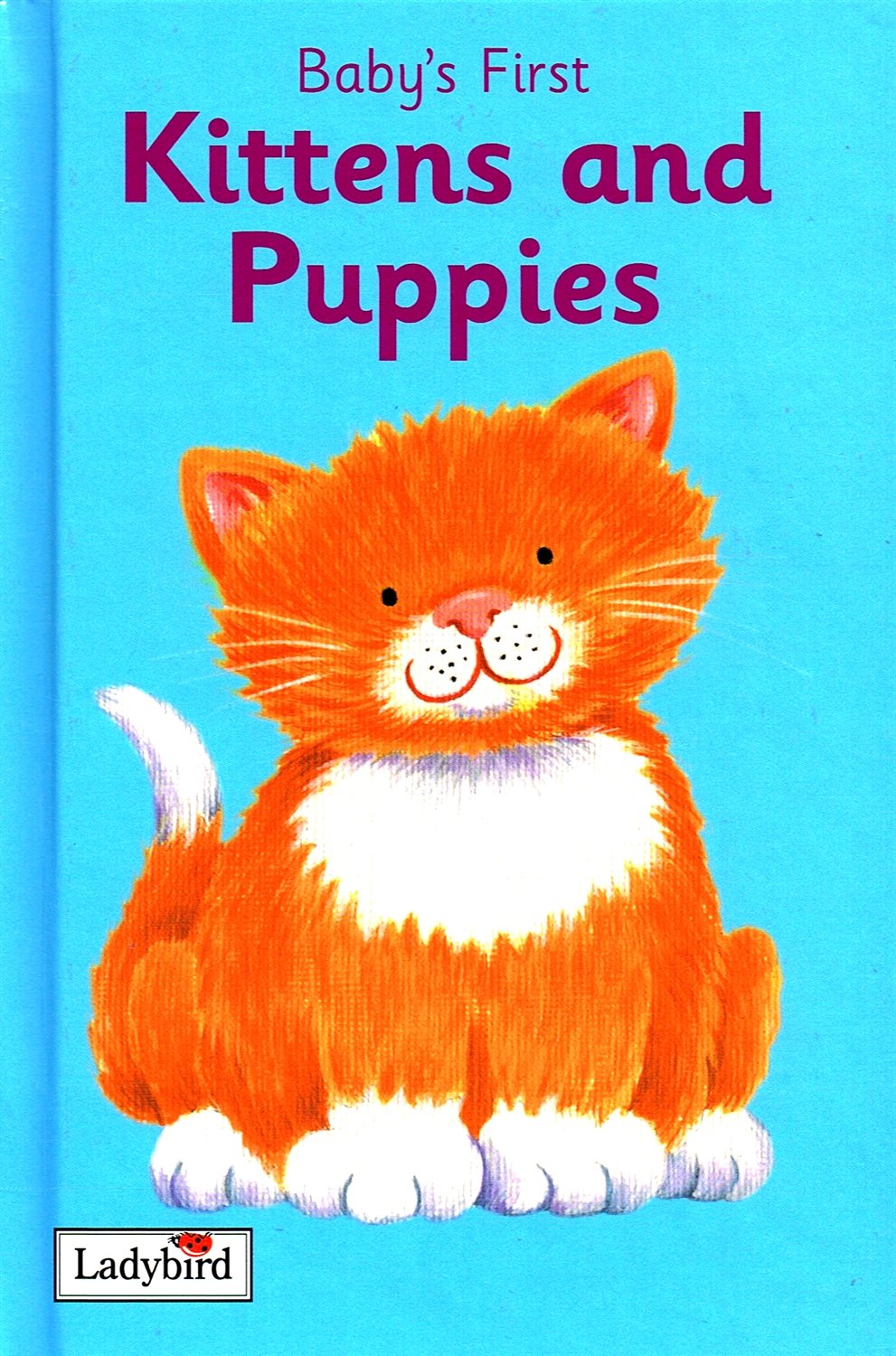 First Picture Words: Kittens and Puppies (First Picture Word Books) Non-fiction