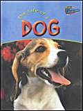 The Life Of A Dog (Life Cycles) Non-fiction