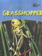 The Life Of A Grasshopper (Life Cycles) Natural Sciences