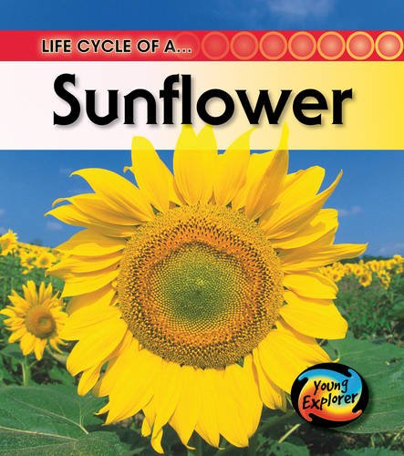 The Life Of A Sunflower (Life Cycles) Natural Sciences