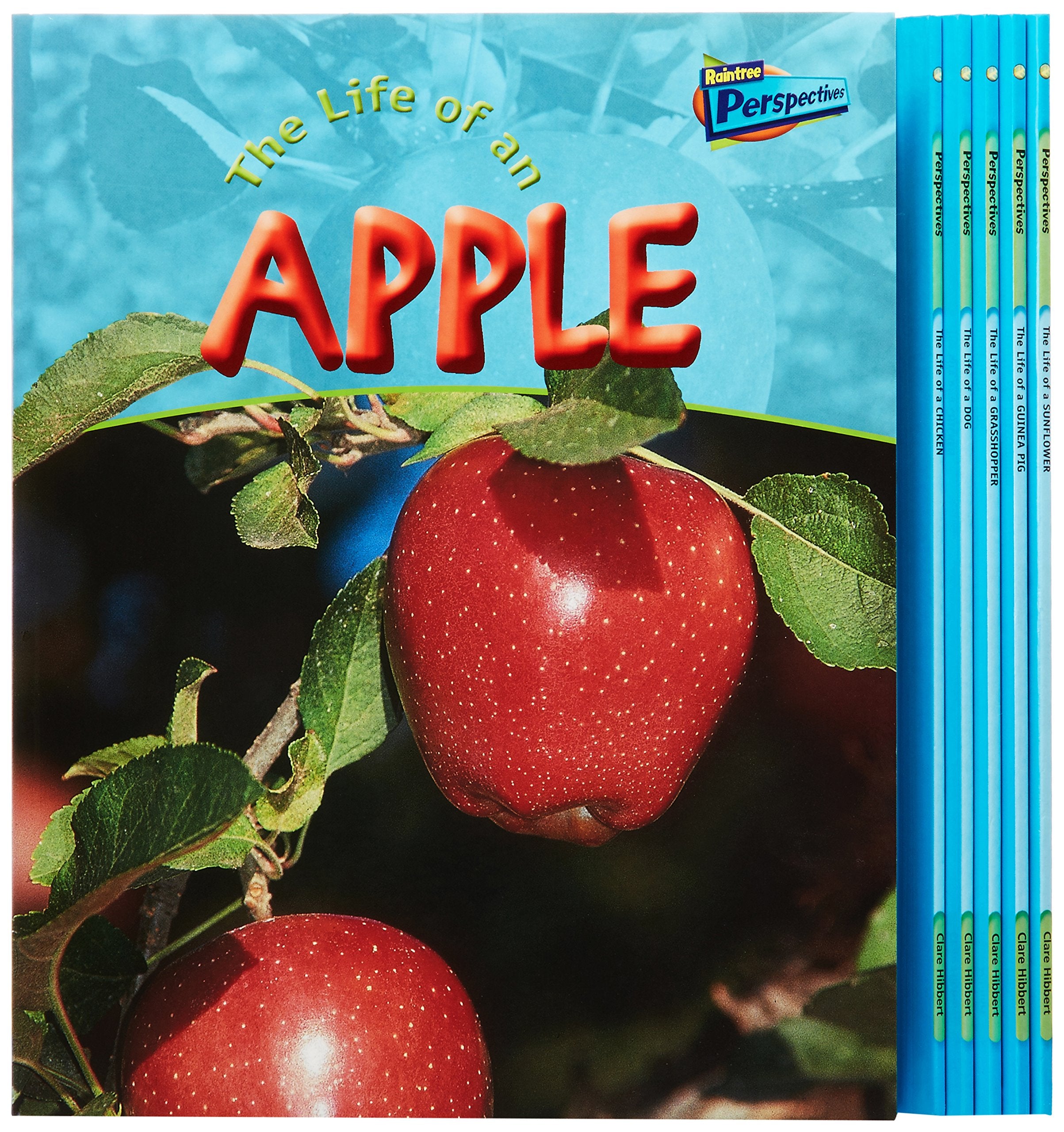 Raintree Perspectives: Life Cycles - the Life of a Dog / Grasshopper / Guinea Pig / Chicken / Sunflower / Apple Non-fiction