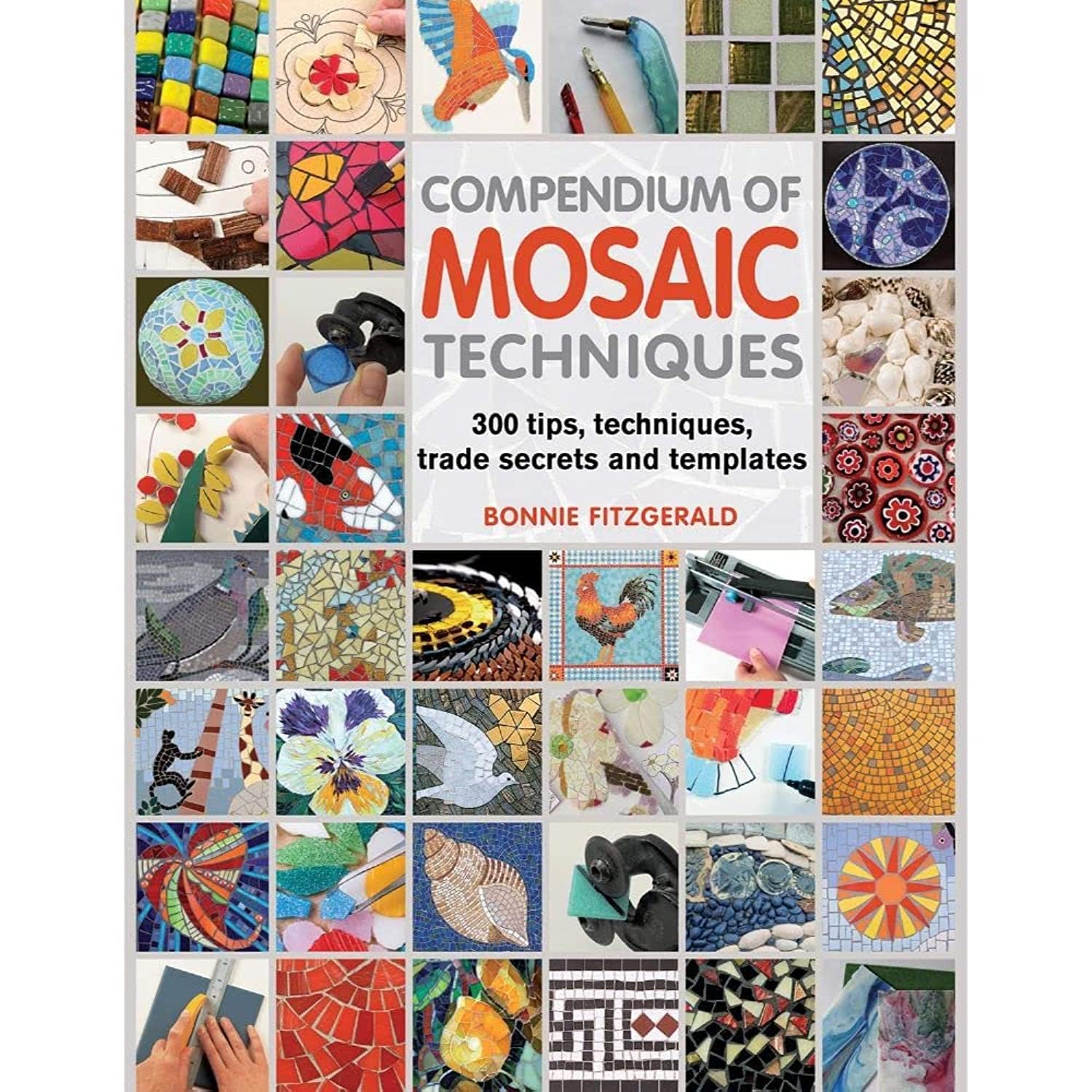 Compendium of Mosaic Techniques: 300 Tips, Techniques, Trade Secrets and Templates Film, Art & Culture