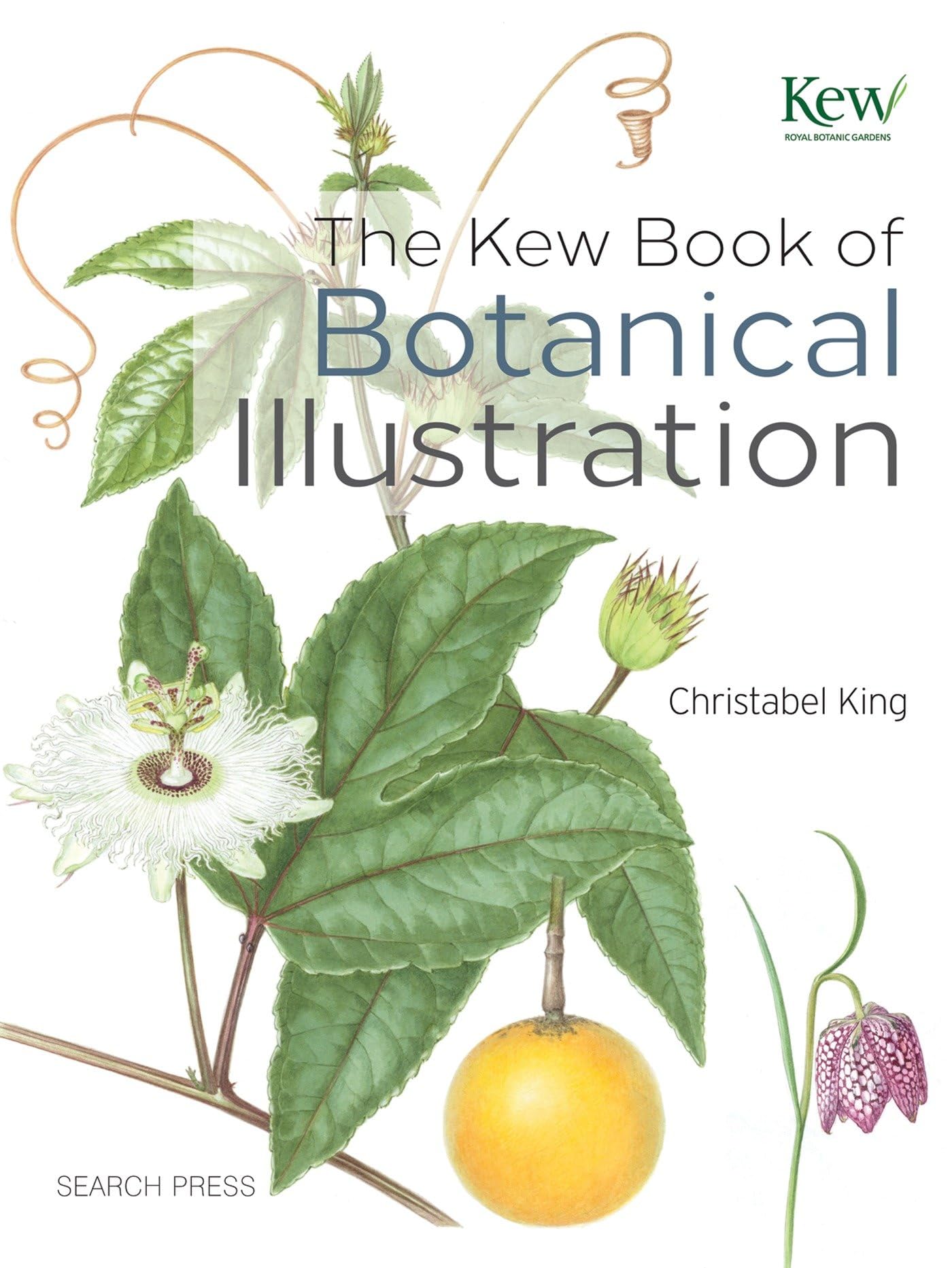 King, C: The Kew Book of Botanical Illustration Film, Art & Culture