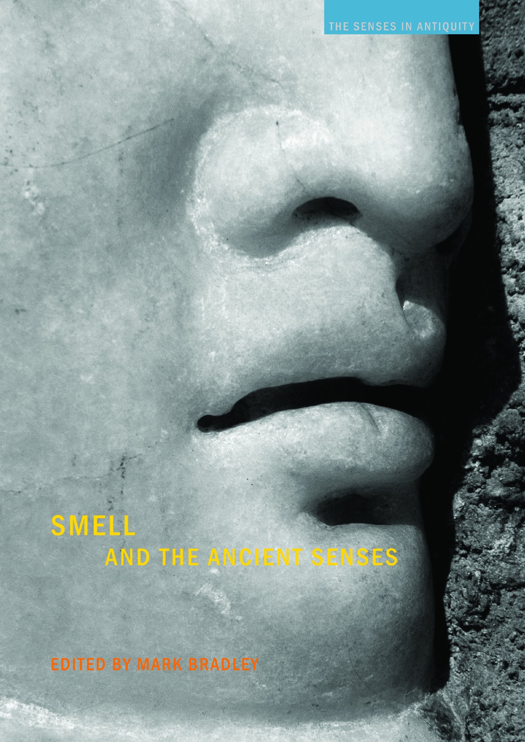 Smell and the Ancient Senses (The Senses in Antiquity) Medicine