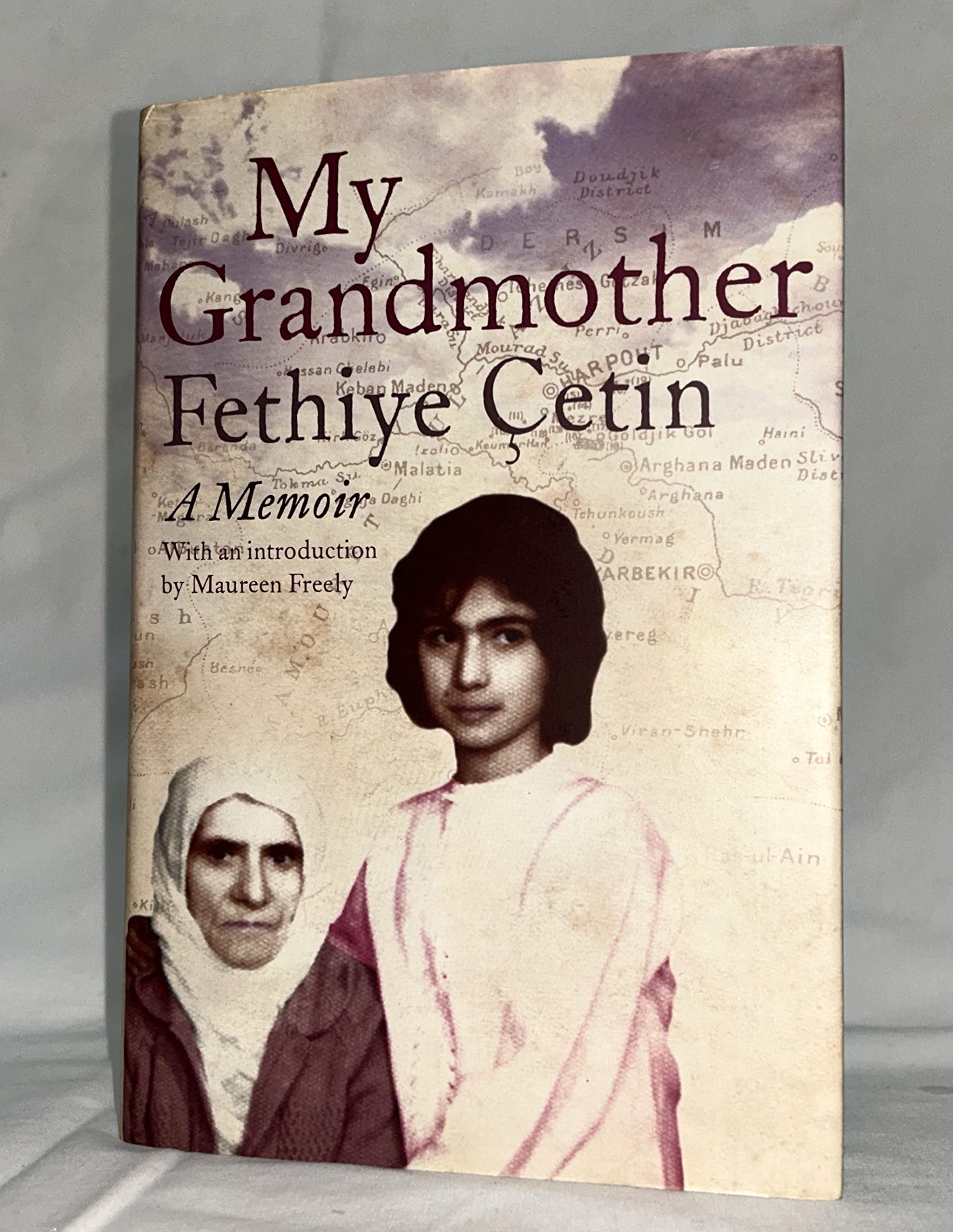 My Grandmother: A Memoir Art & Literature