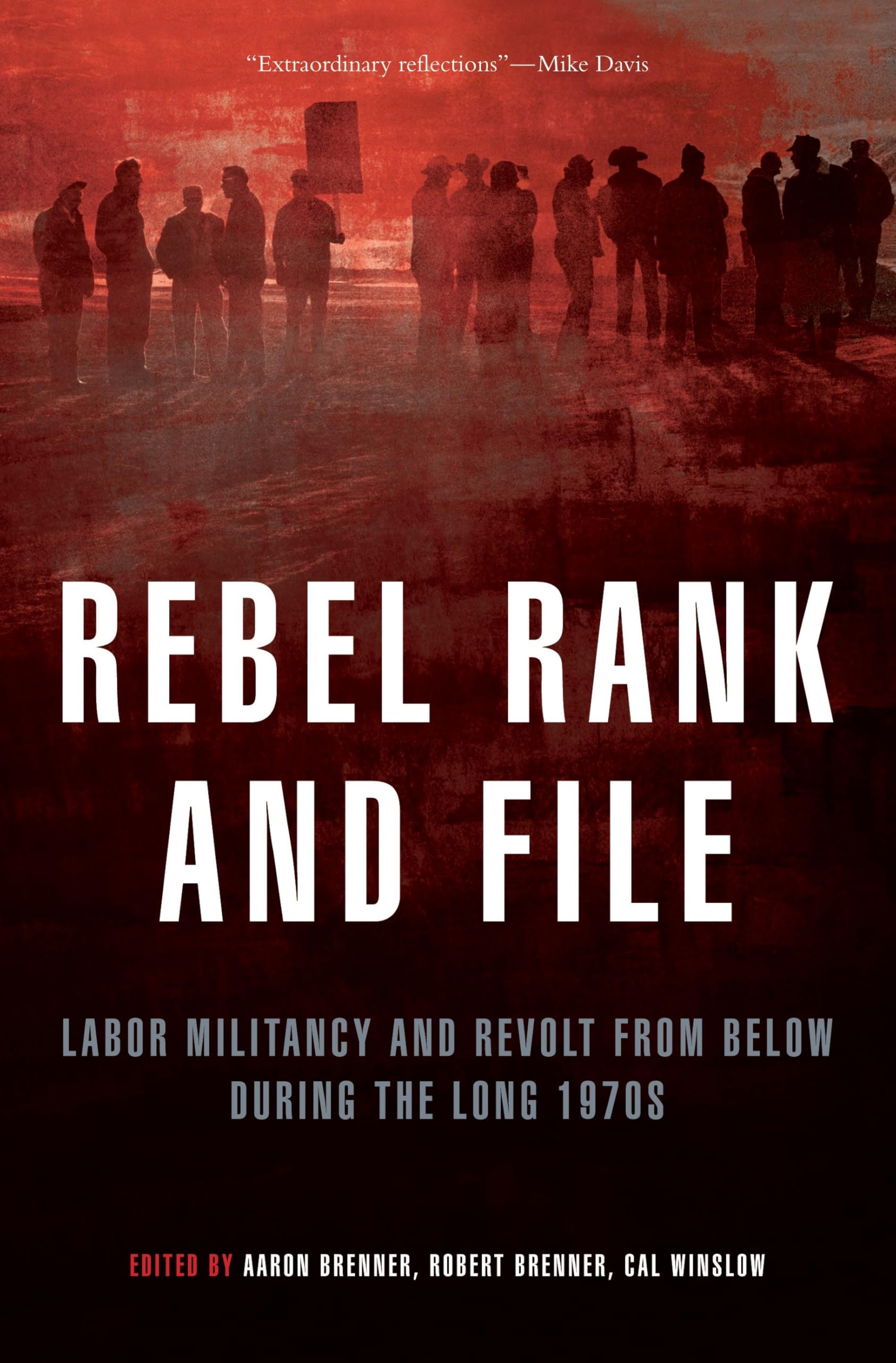 Rebel Rank and File: Labor Militancy and Revolt from Below During the Long 1970s: Labor Militancy and Revolt from Below in the Long 1970s Social Sciences