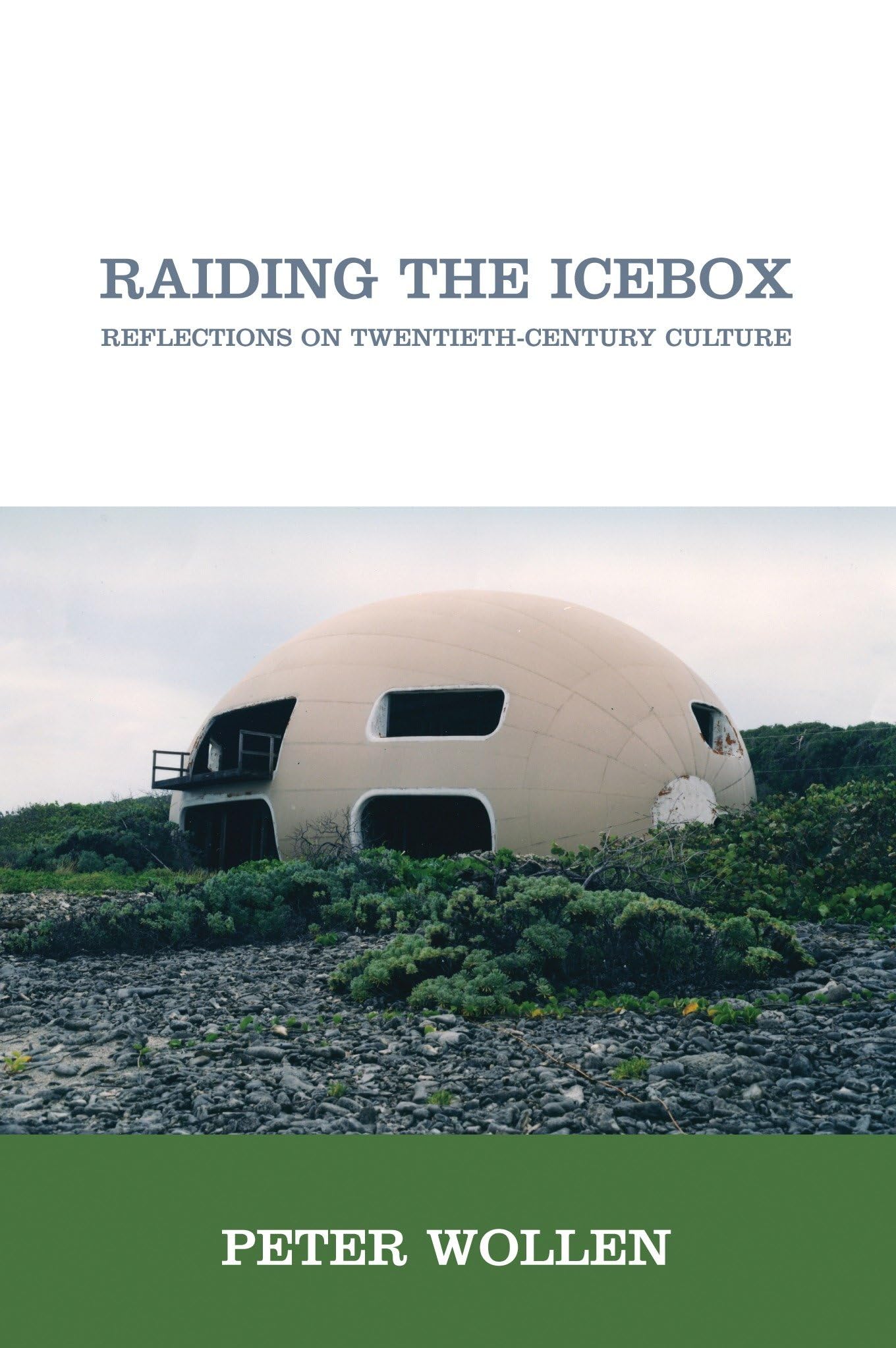 Raiding the Icebox: Reflections on Twentieth-Century Culture Social Sciences