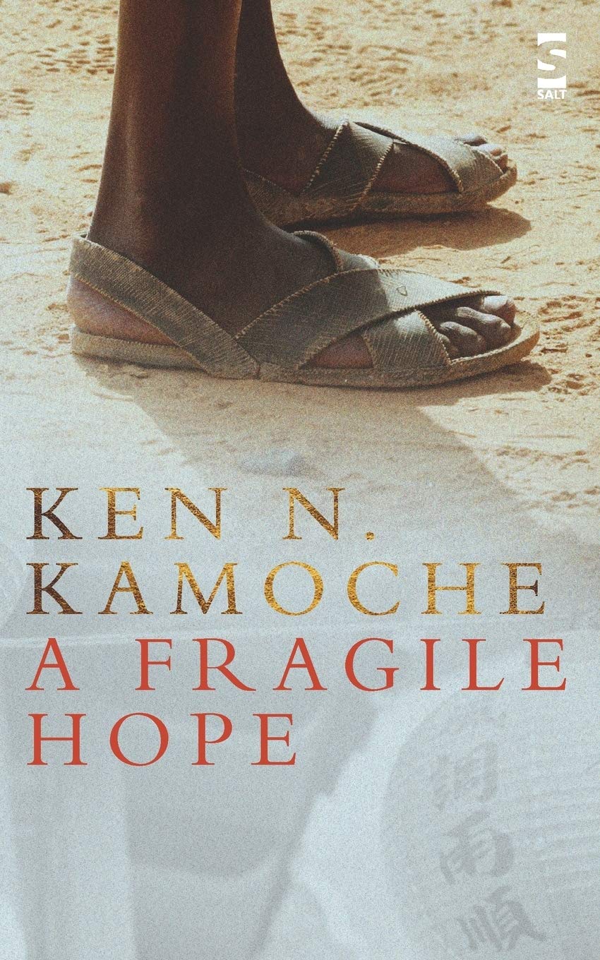 A Fragile Hope (Salt Modern Fiction S.) Essays & Short Stories