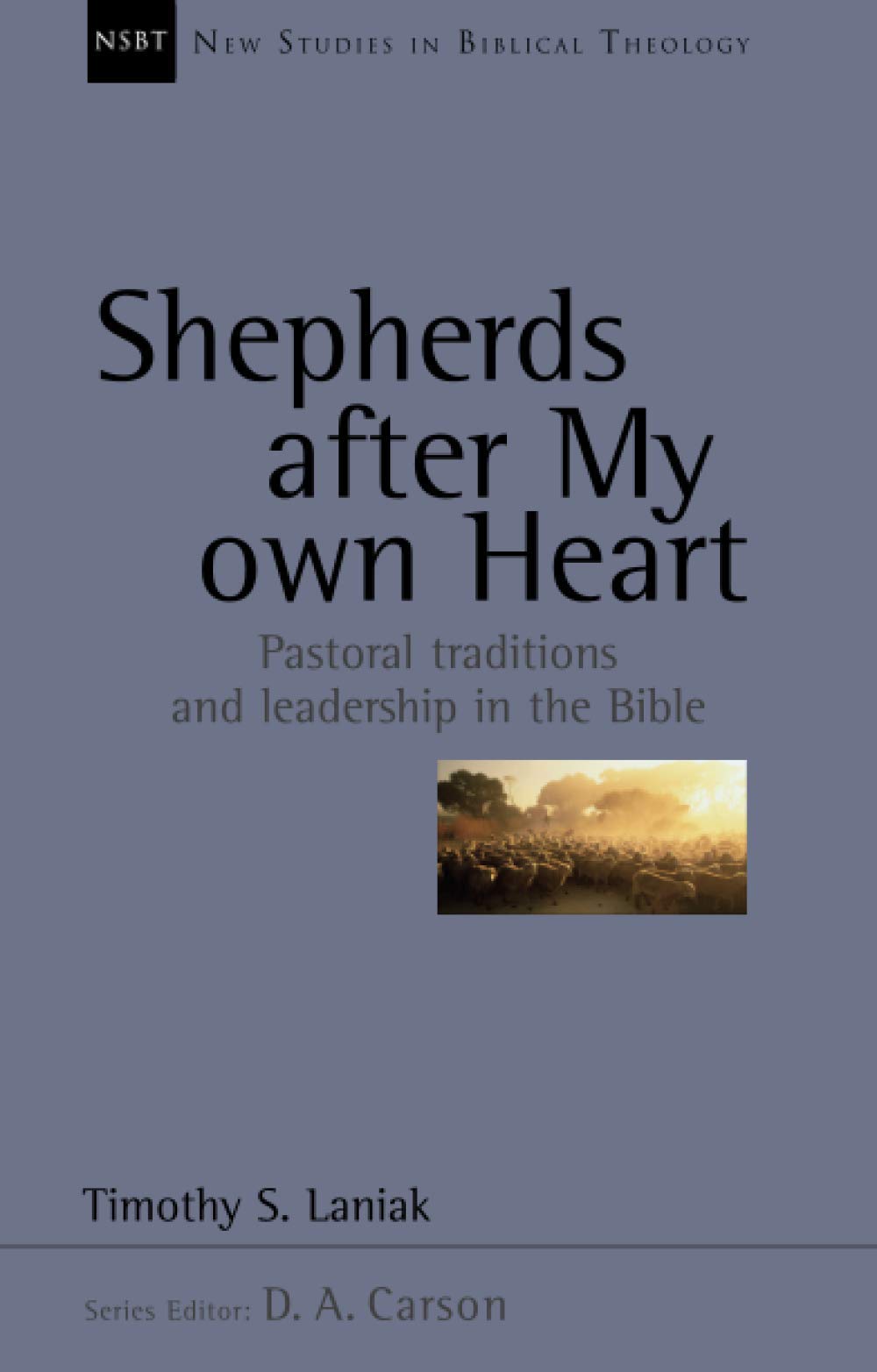 Shepherds after my own heart book