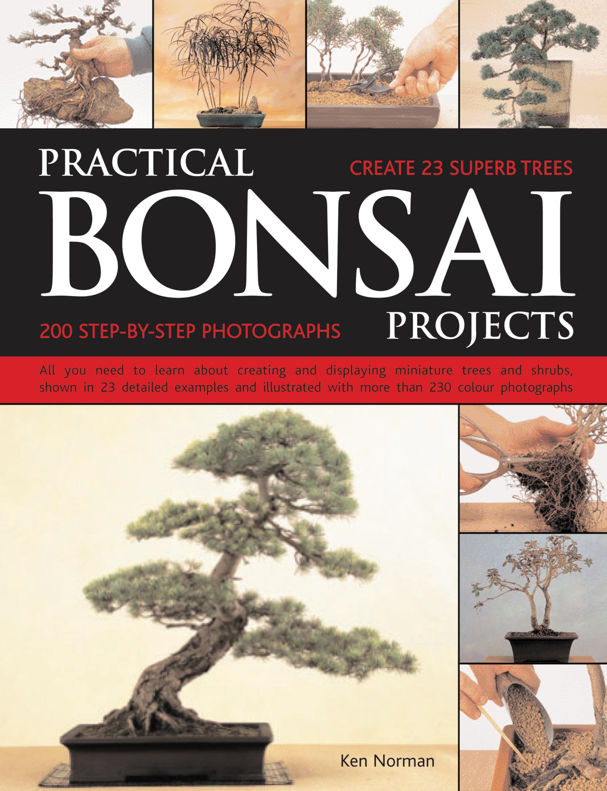 Practical Bonsai Projects: Create 23 Superb Trees: All You Need to Learn About Creating and Displaying Miniature Trees and Shrubs Shown in 23 Detailed ... with More Than 350 Colour Photographs Garden & Plants