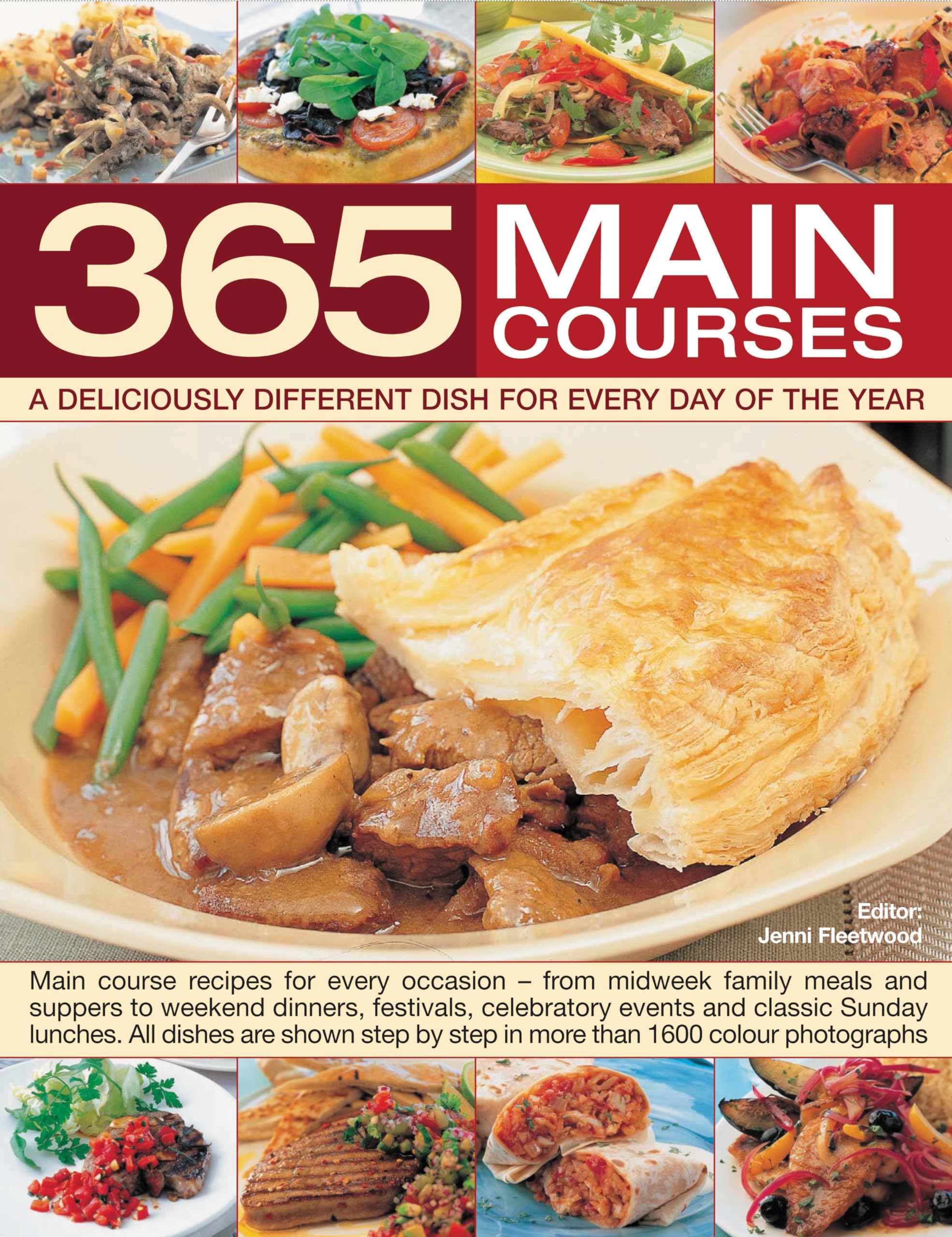 365 Main Course: A Deliciously Different Dish for Every Day of the Year book