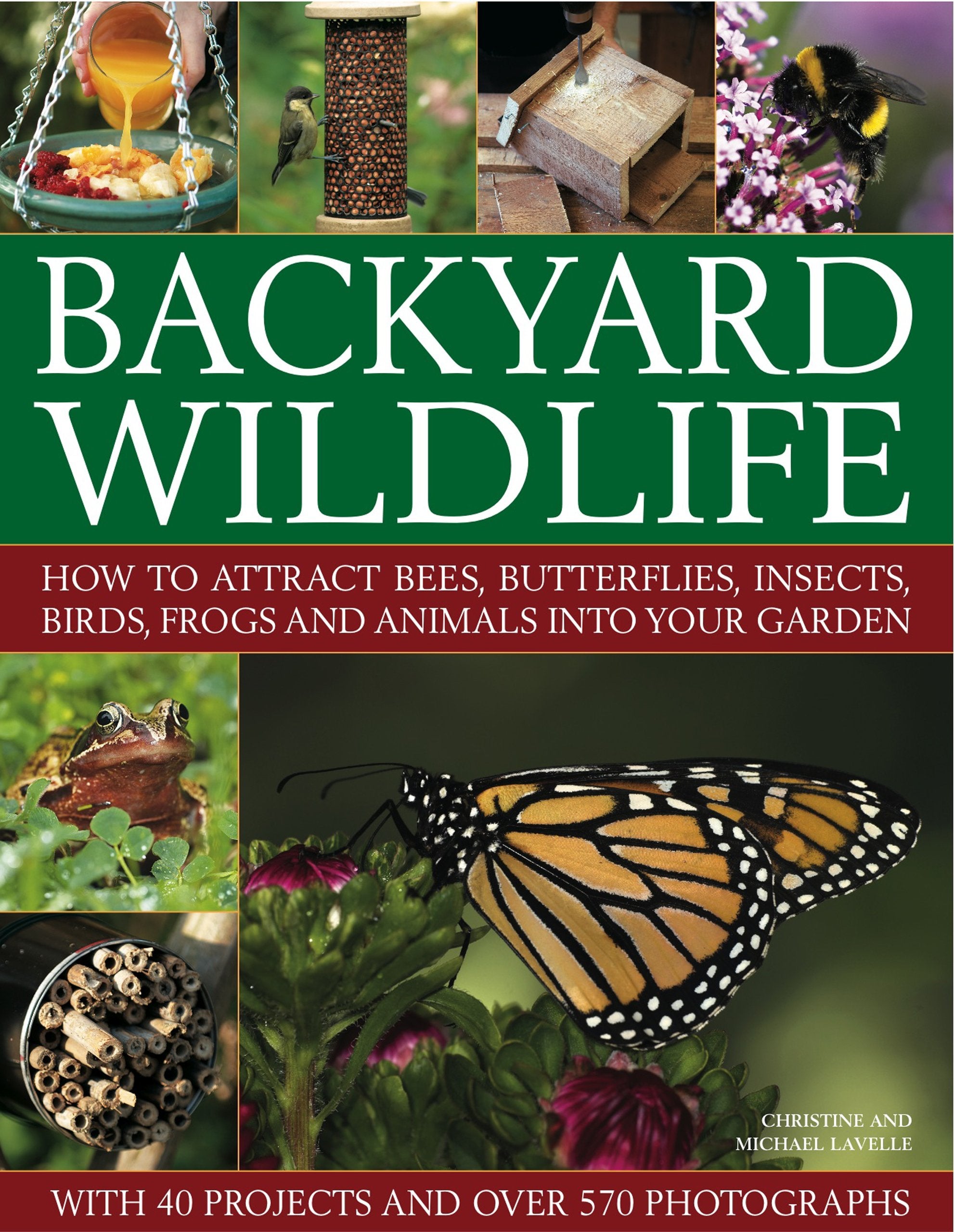 Backyard Wildlife: How to Attract Bees, Butterflies, Insects, Birds, Frogs and Animals into Your Garden Mathematics