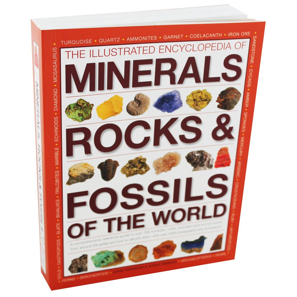 The Illustrated Encyclopedia of Minerals, Rocks & Fossils of the World book