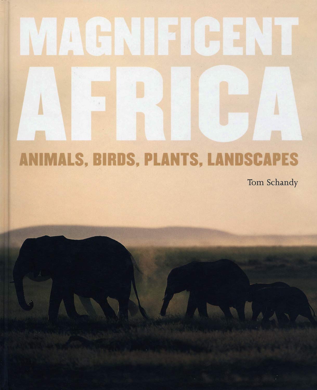 Magnificent Africa: Animals,Birds,Plants,Landscapes Mathematics