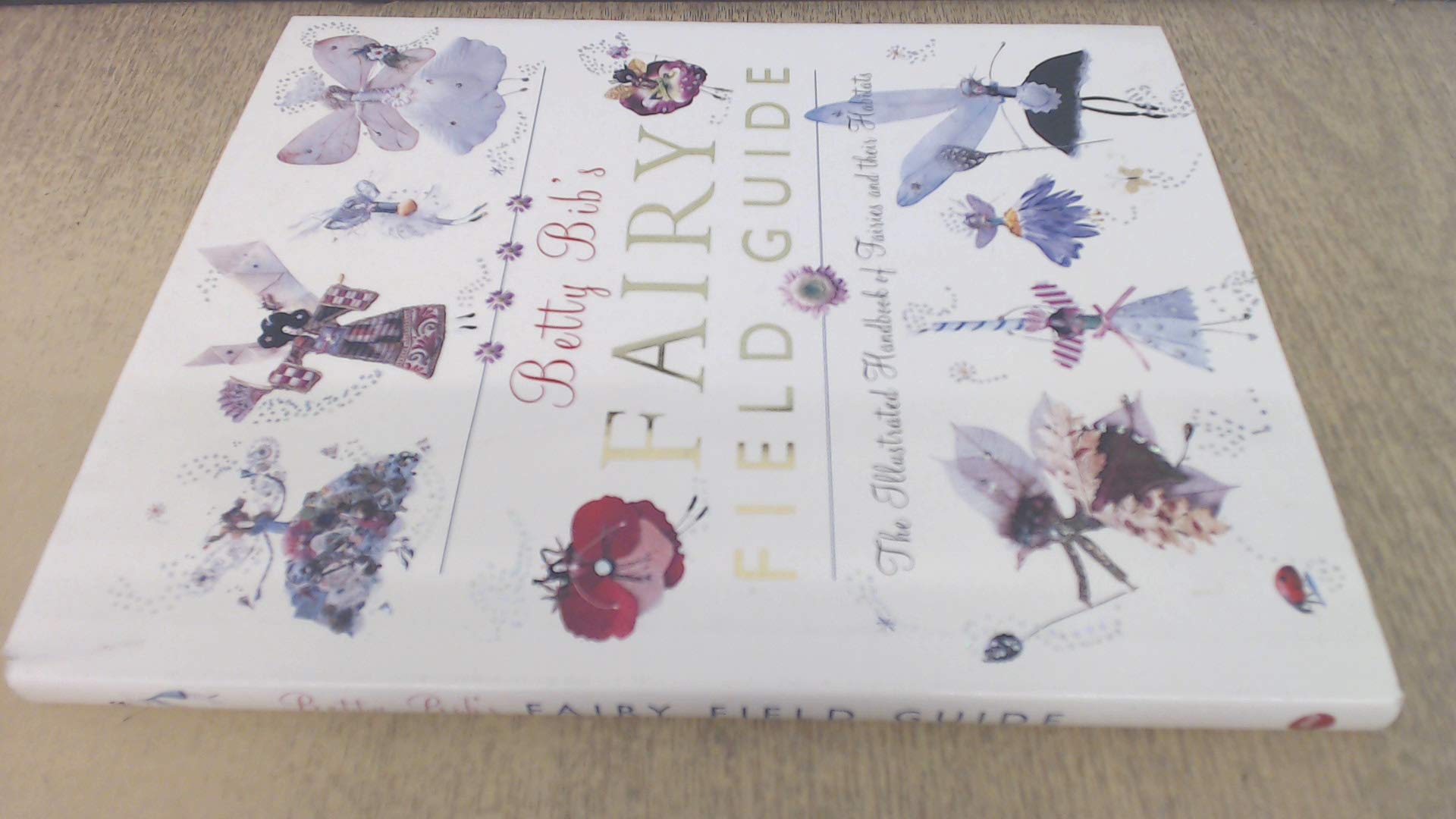 Betty Bib's Fairy Field Guide: The Illustrated Handbook of Fairies and Their Habitats Tiptoi & Games
