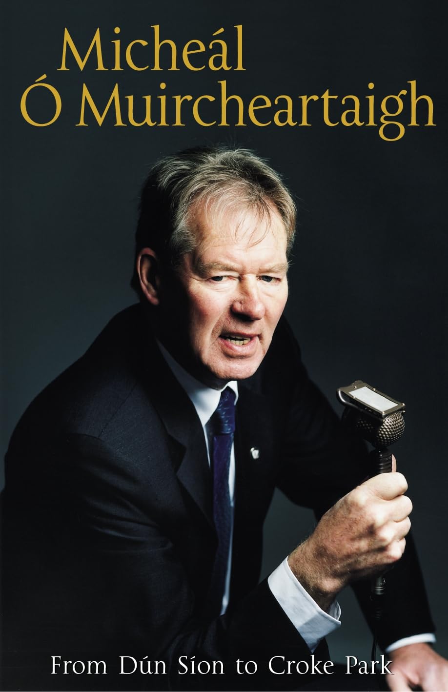 From Dún Síon to Croke Park: The Autobiography Art & Literature