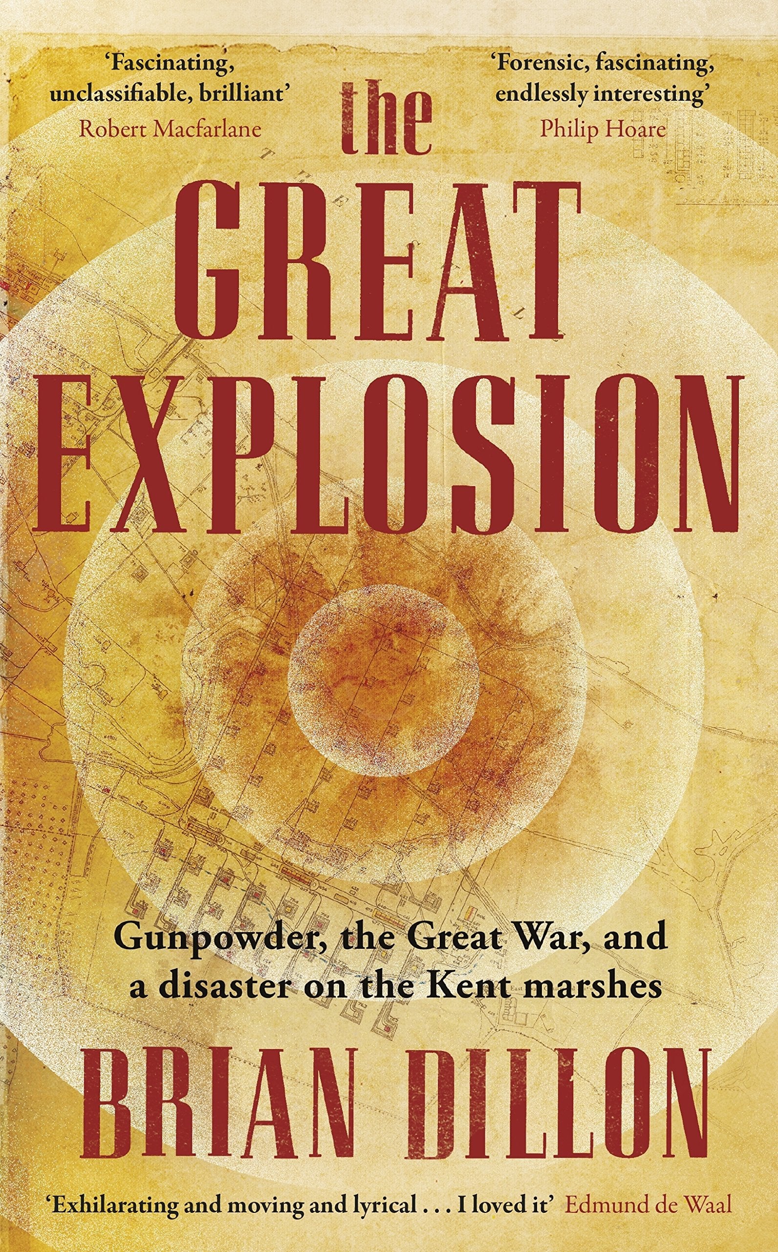 The Great Explosion: Gunpowder, the Great War, and a Disaster on the Kent Marshes Social Sciences