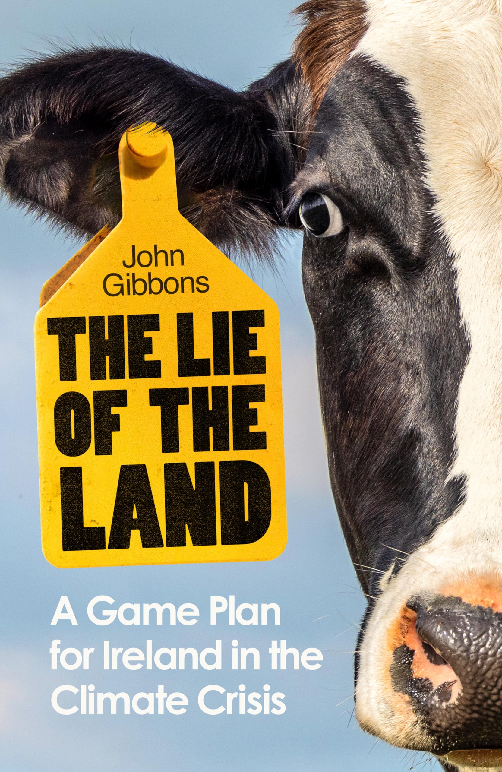 The Lie of the Land: A Game Plan for Ireland in the Climate Crisis Social Sciences