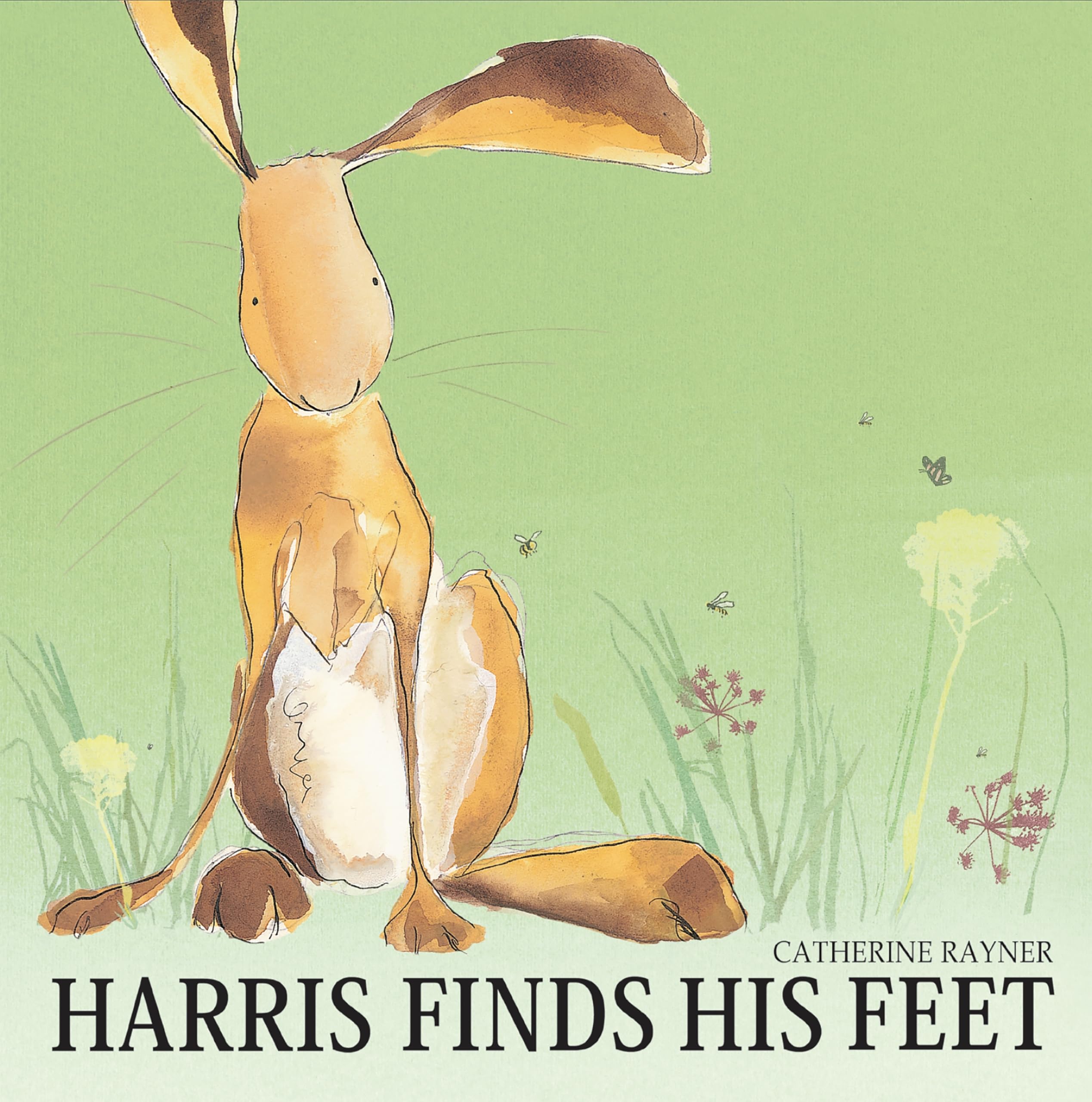 Harris Finds His Feet Novels & Short Stories for children