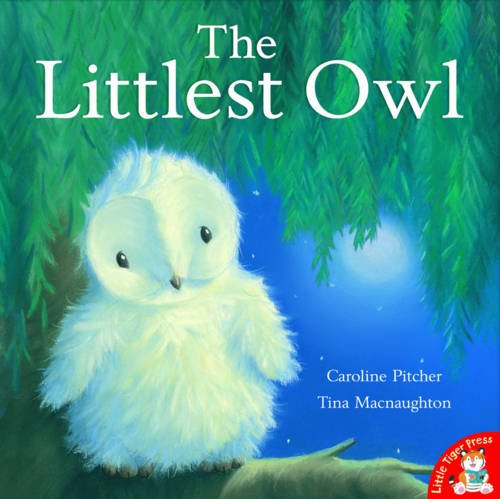 Product Image: The Littlest Owl