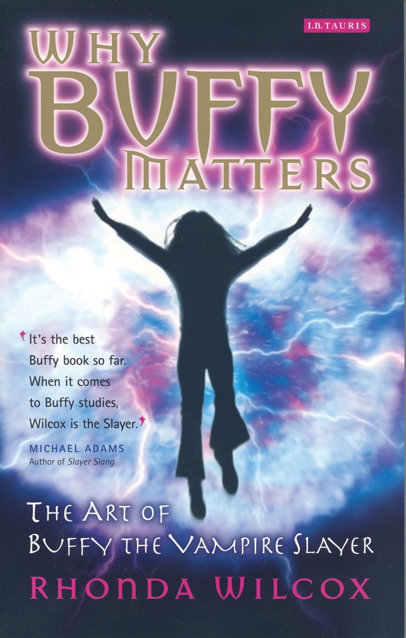 Why Buffy Matters: The Art Of Buffy the Vampire Slayer Film, Art & Culture