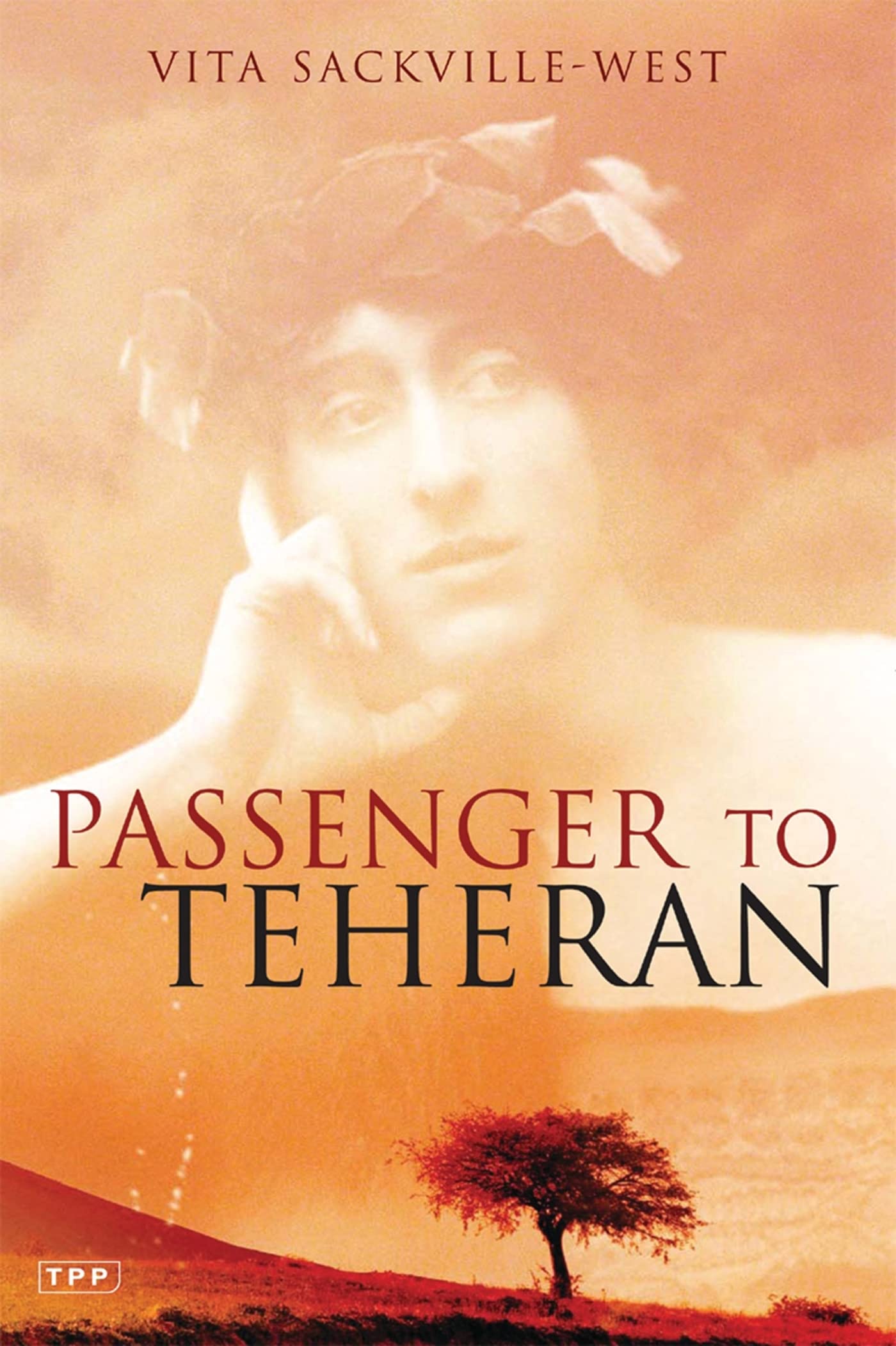 Passenger to Teheran (Tauris Parke Paperback S.) Contemporary literature