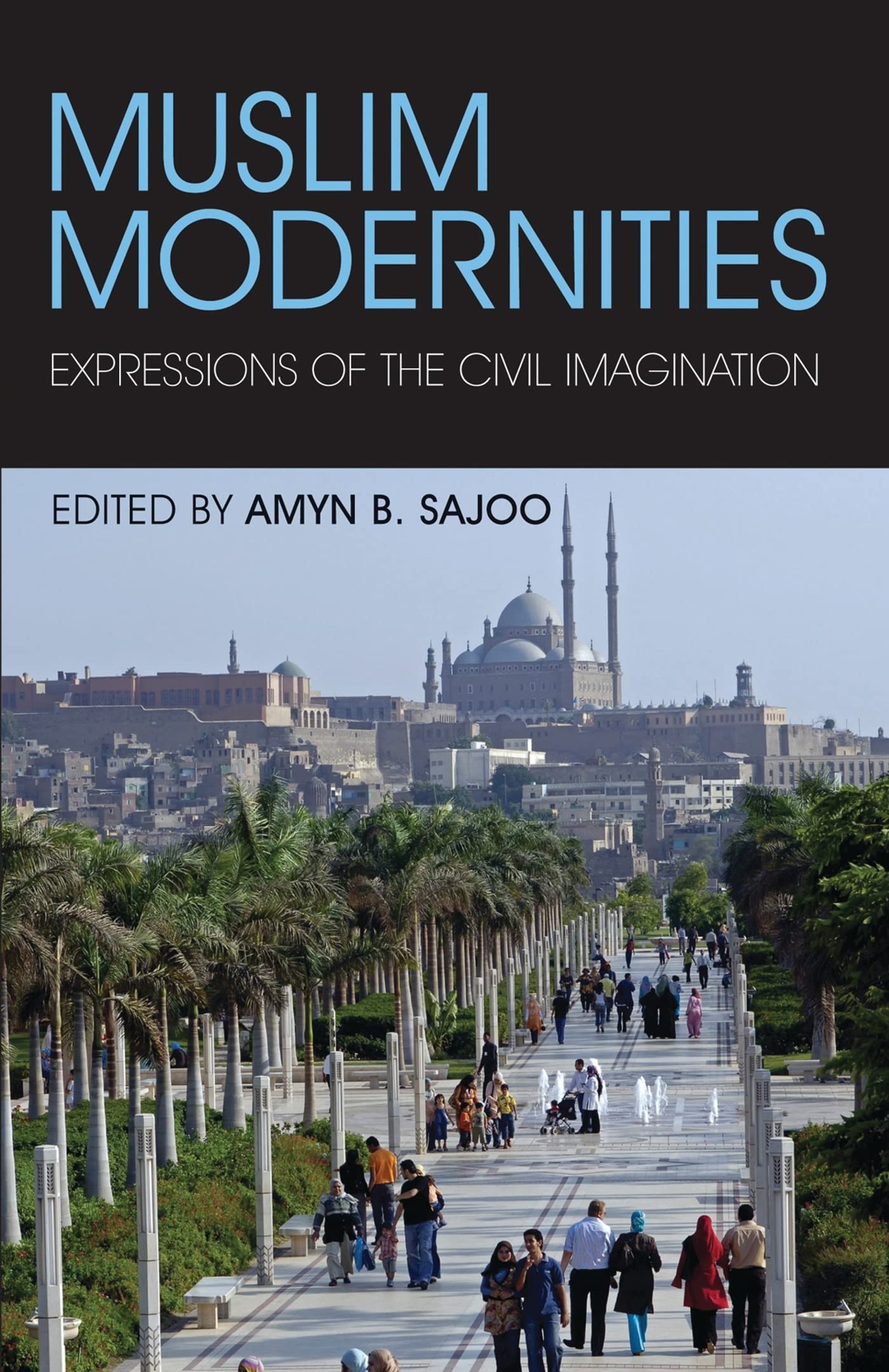 Muslim Modernities: Expressions of the Civil Imagination book
