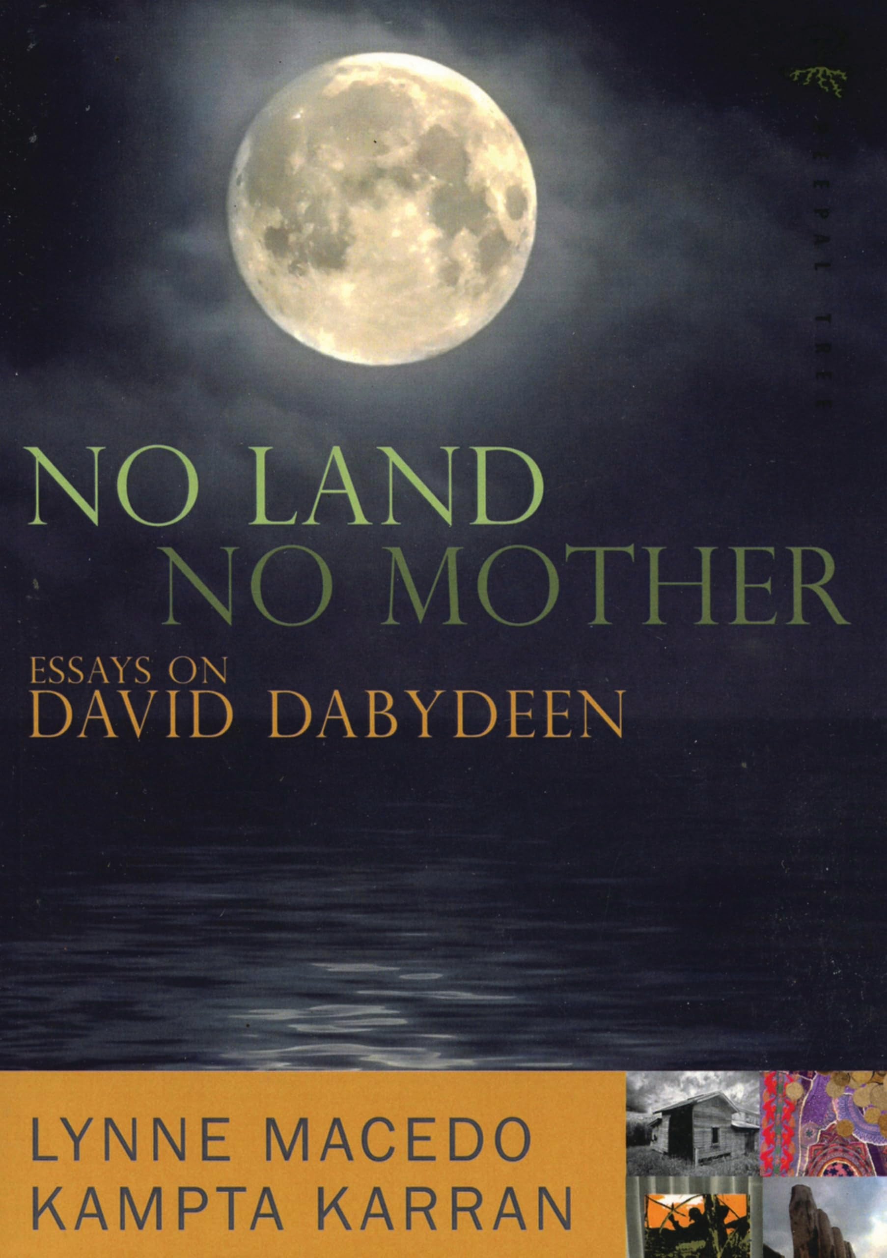 No Land, No Mother: Essays on the Work of David Dabydeen Social Sciences