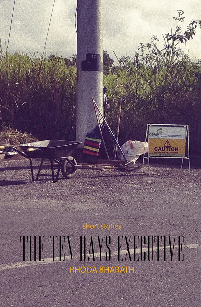 The Ten Day's Executive and Other Stories: Short Stories Essays & Short Stories