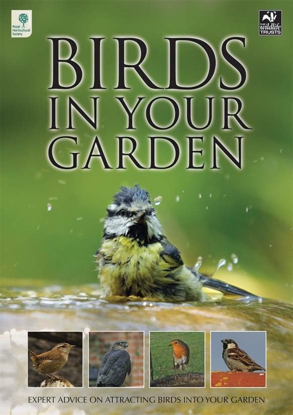 Birds in Your Garden Mathematics