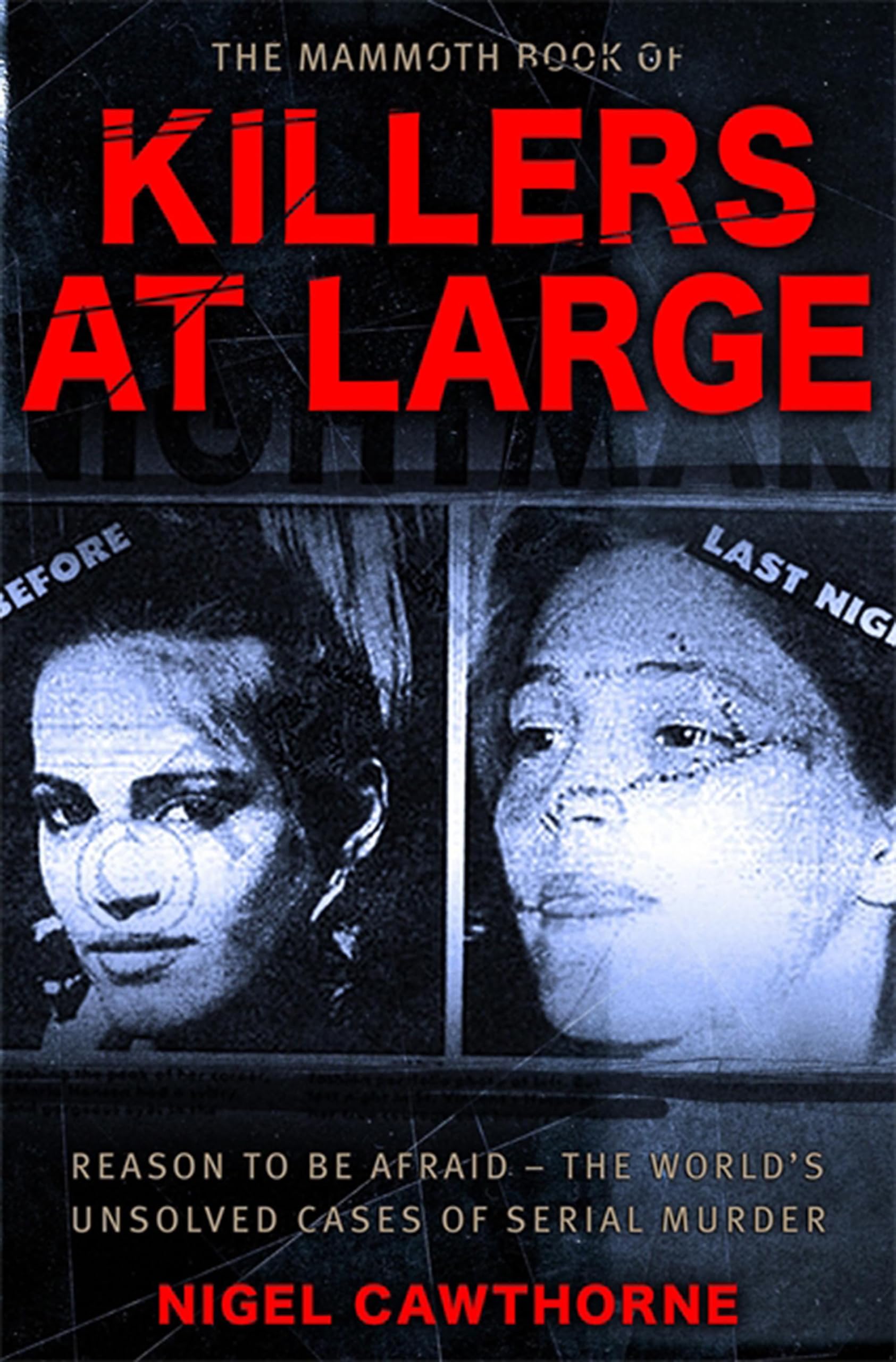 The Mammoth Book of Killers at Large (Mammoth Books) Politics & Society