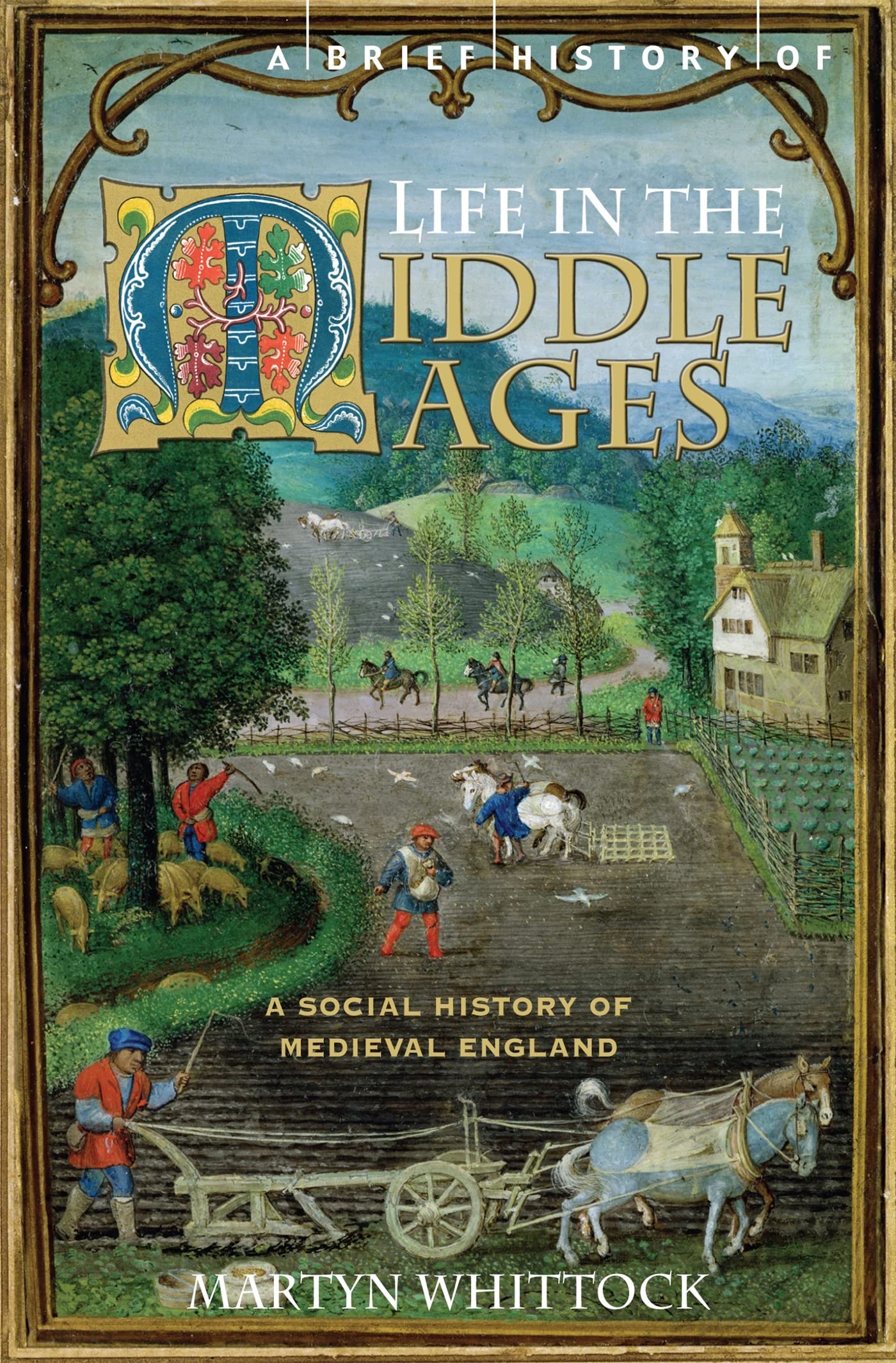 A Brief History of Life in the Middle Ages (Brief Histories) Social Sciences