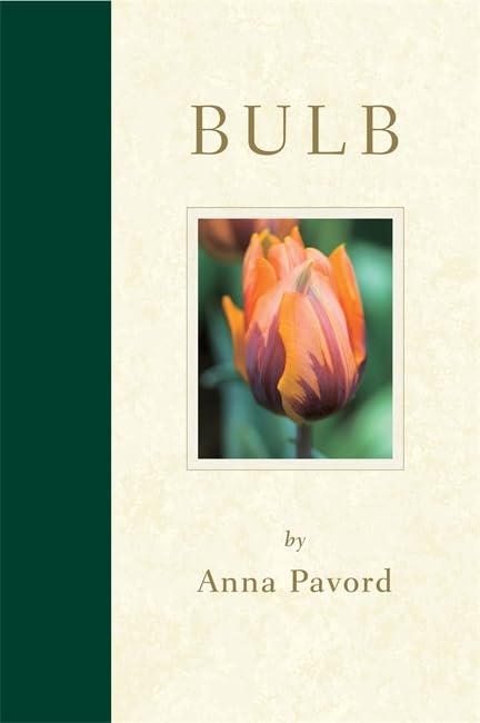 Bulb Garden & Plants