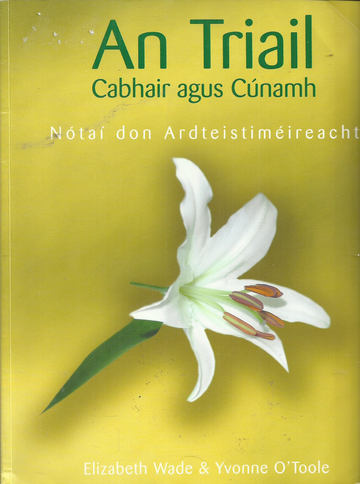 An triail: cabhair agus cúnamh : nótaí don ardteistméireacht book