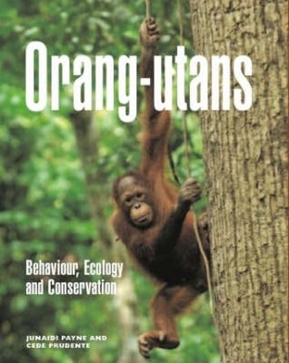 Orang-utans: Behaviour, Ecology and Conservation Natural Sciences Books
