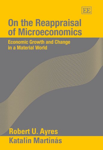 On the Reappraisal of Microeconomics: Economic Growth And Change in a Material World book