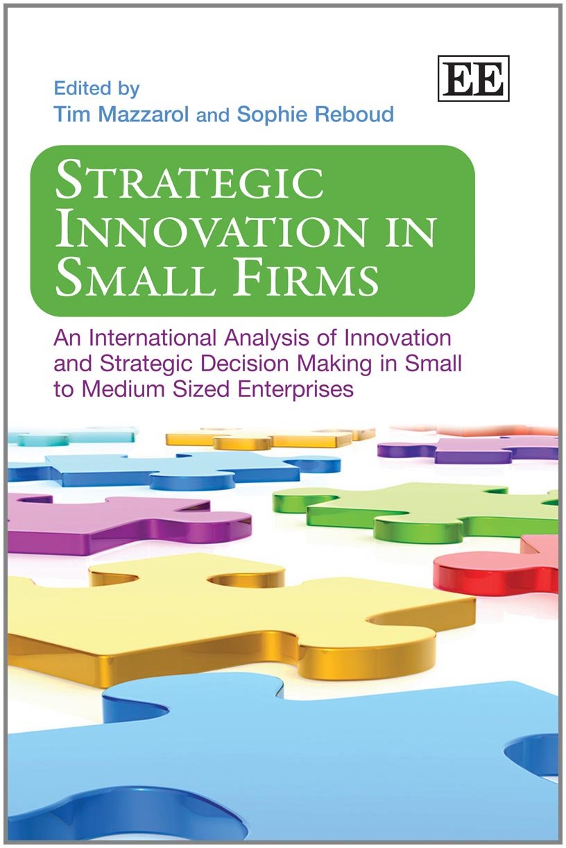 Strategic Innovation in Small Firms: An International Analysis of Innovation and Strategic Decision Making in Small to Medium Sized Enterprises Business, Finance & Career