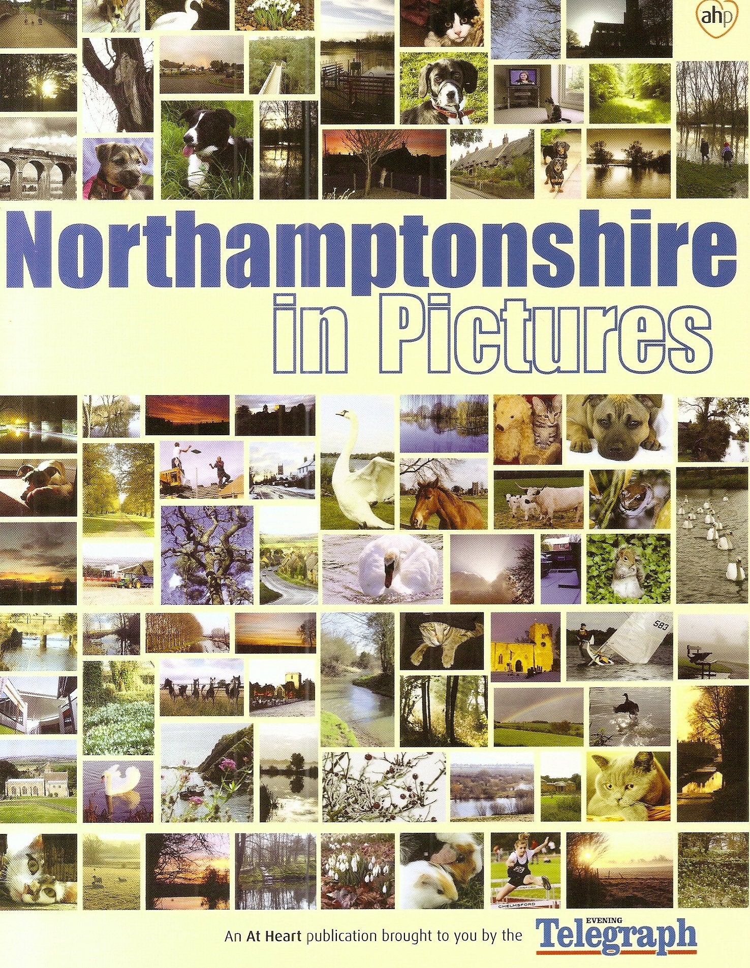 Northamptonshire in Pictures Politics & History