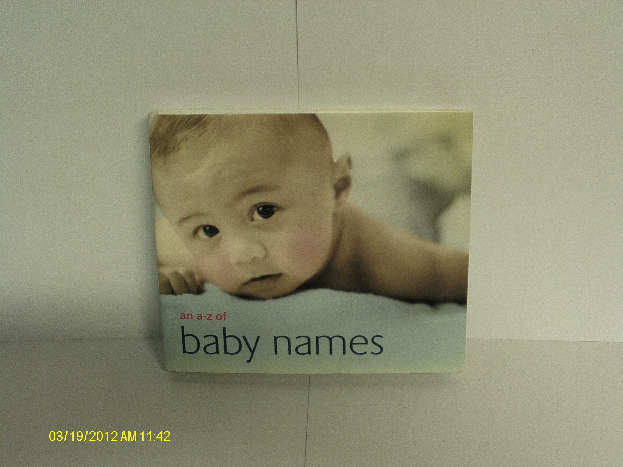The New Baby Names Book (Baby Names S.) Parents & Children