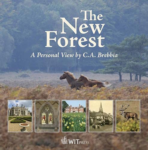 The New Forest: A Personal View: A Personal View by C.A. Brebbia Mathematics