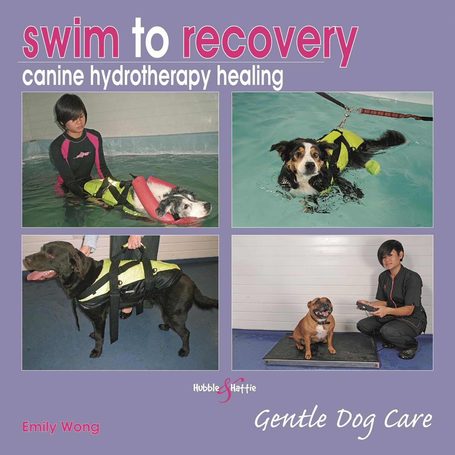 Swim to Recovery: Canine Hydrotherapy Healing Medicine