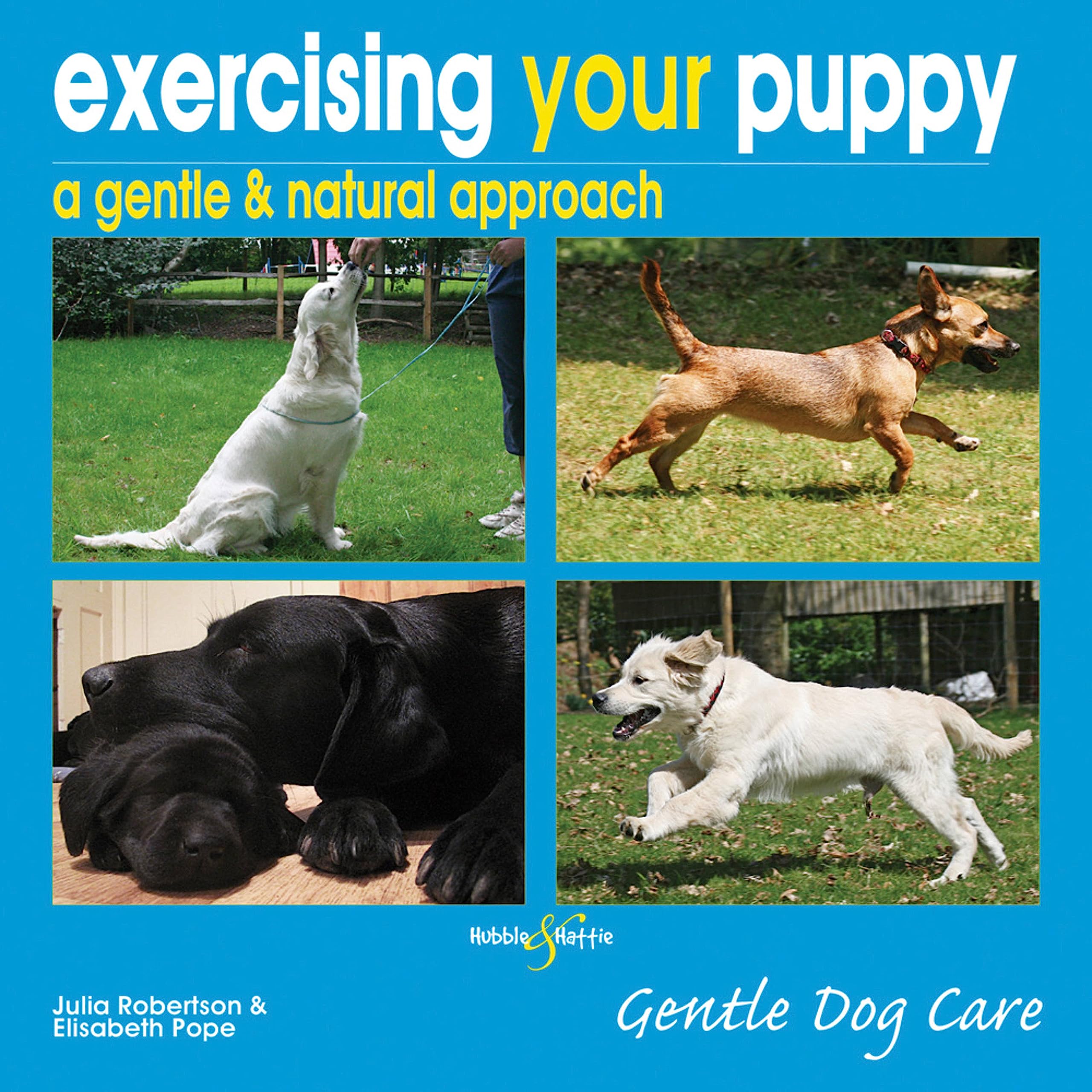 Exercising Your Puppy: A Gentle & Natural Approach: Gentle Dog Care Pets