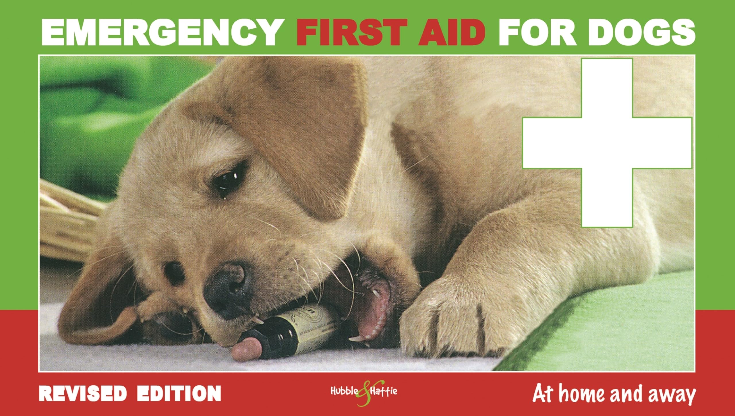Emergency First Aid for Dogs: At Home and Away Medicine