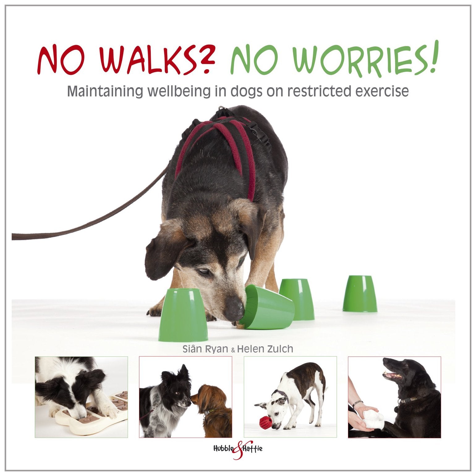 No Walks? No Worries!: Maintaining Wellbeing in Dogs on Restricted Exercise Pets