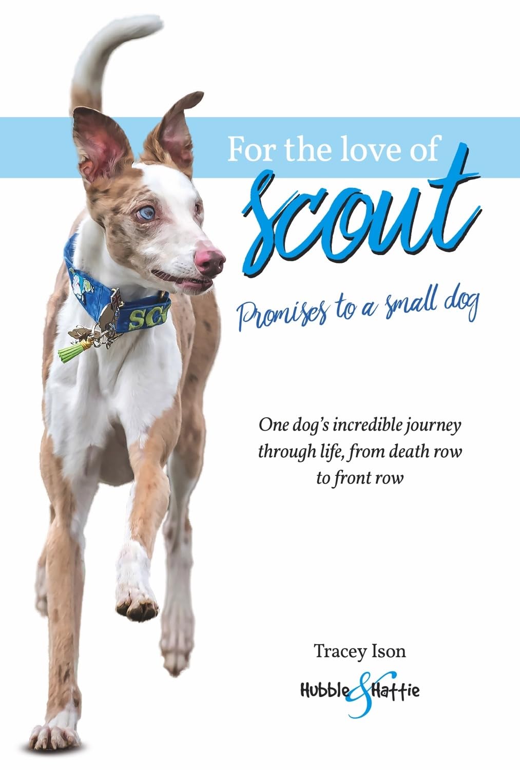 For the Love of Scout: Promises to a Small Dog Pets