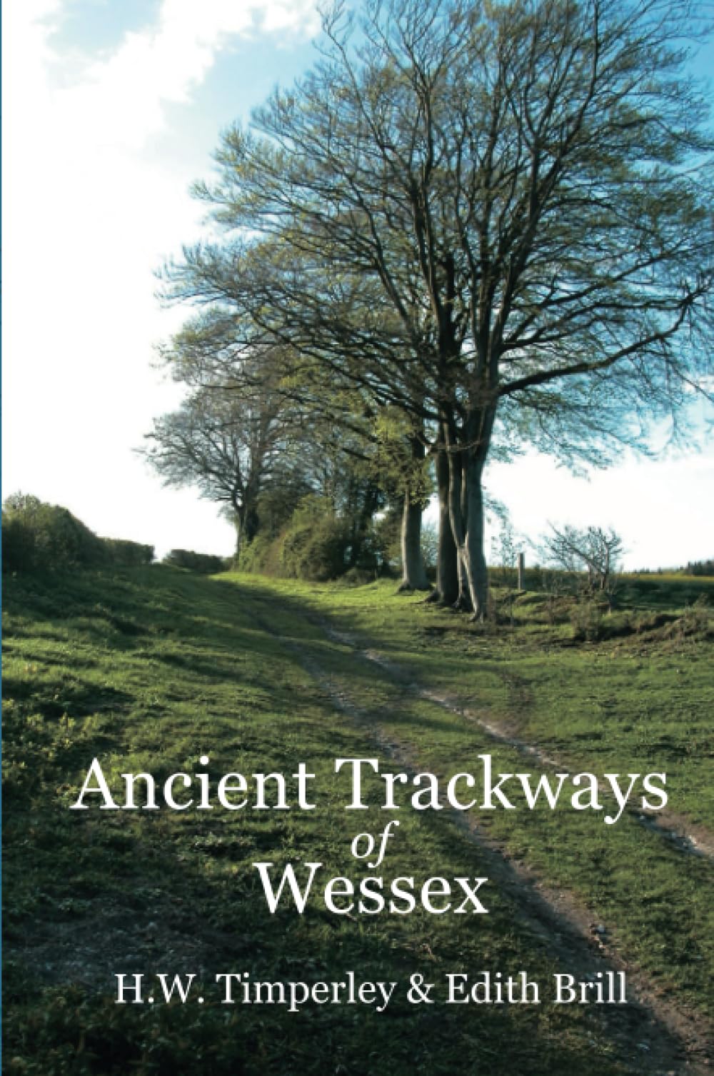 Ancient Trackways of Wessex Politics & History