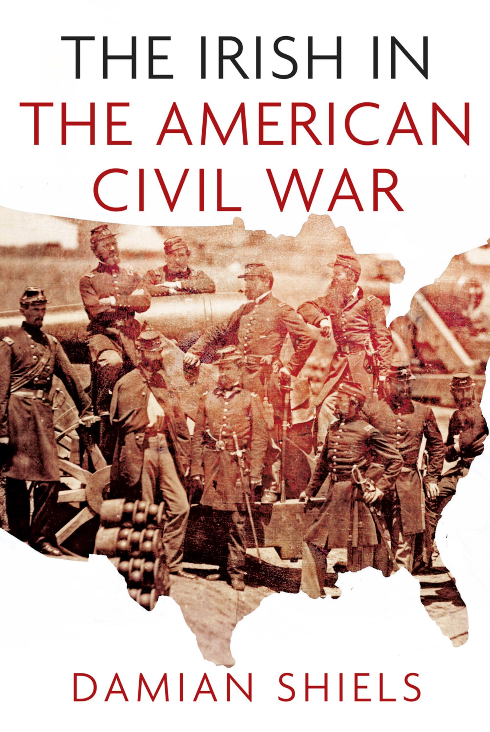 The Irish in the American Civil War book